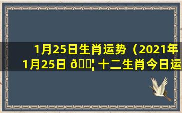 1月25日生肖运势（2021年1月25日 🐦 十二生肖今日运势）